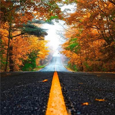 火博体育官方网入口下载